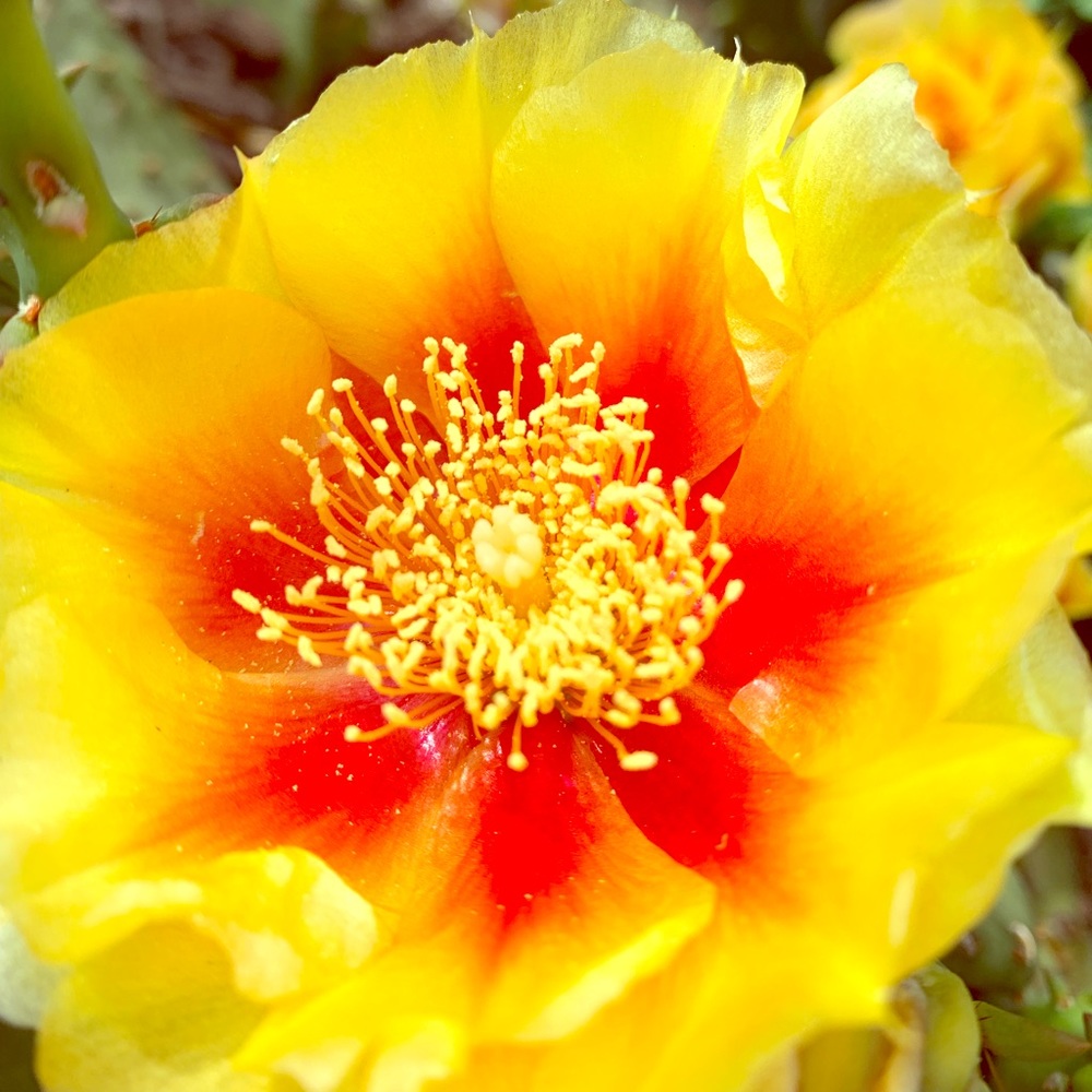 Meet your Posher, Tara